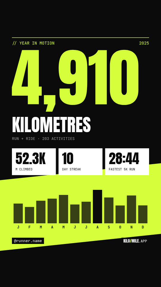 Example recap card made from demo data: total kilometres, climb, streak and a monthly chart